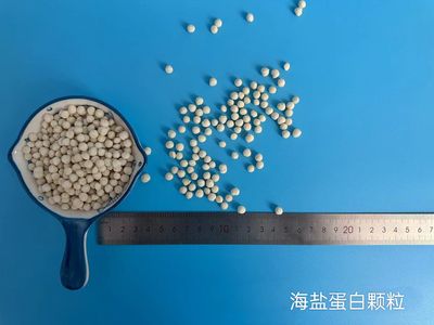 海盐蛋白颗粒