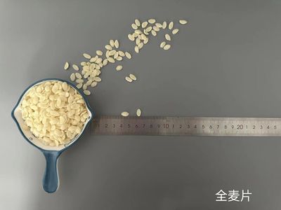 全麦片